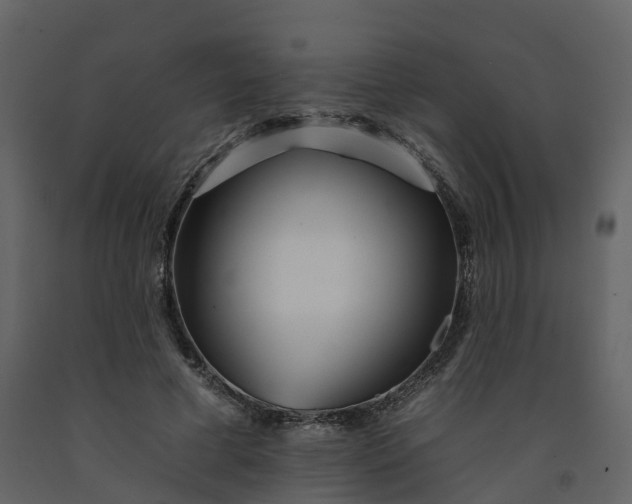 X0000092260593200710051321