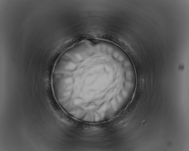 X0000092260594200710051321