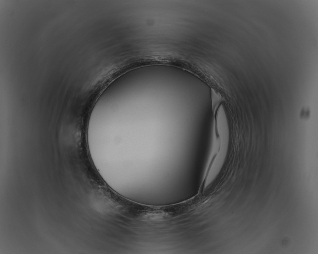 X0000092260595200710051321