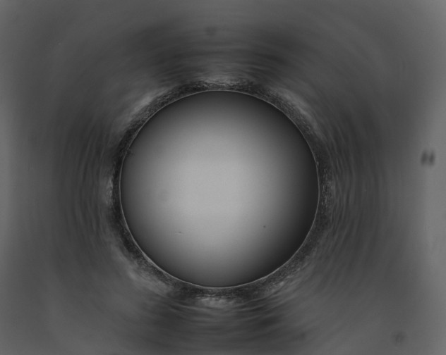 X0000092260596200710051321