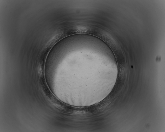 X0000092260598200710051321