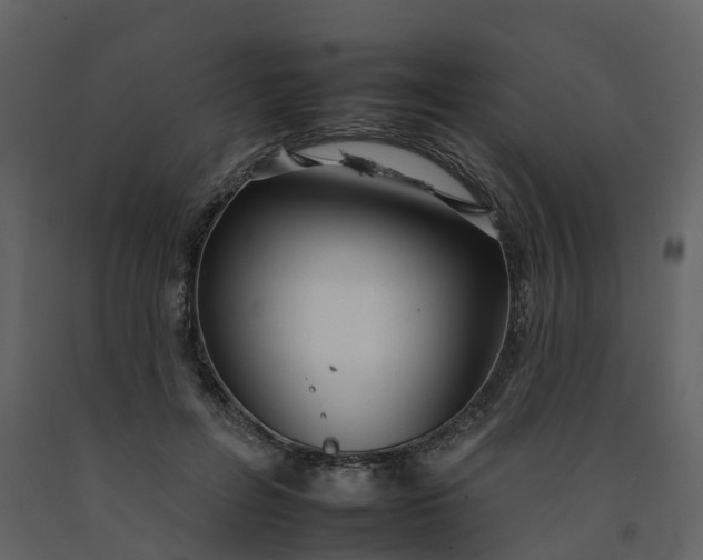 X0000092260600200710051321