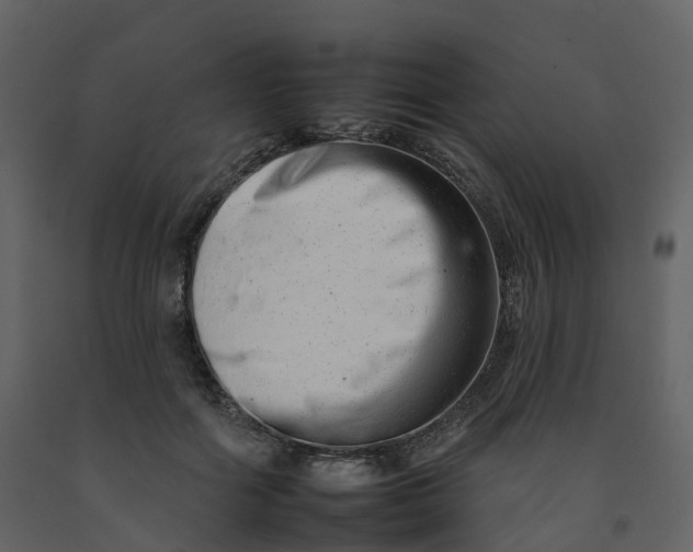 X0000092260602200710051321