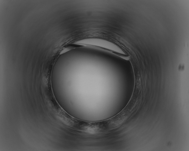 X0000092260604200710051321