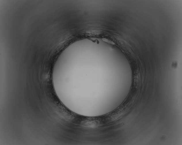 X0000092260608200710051321