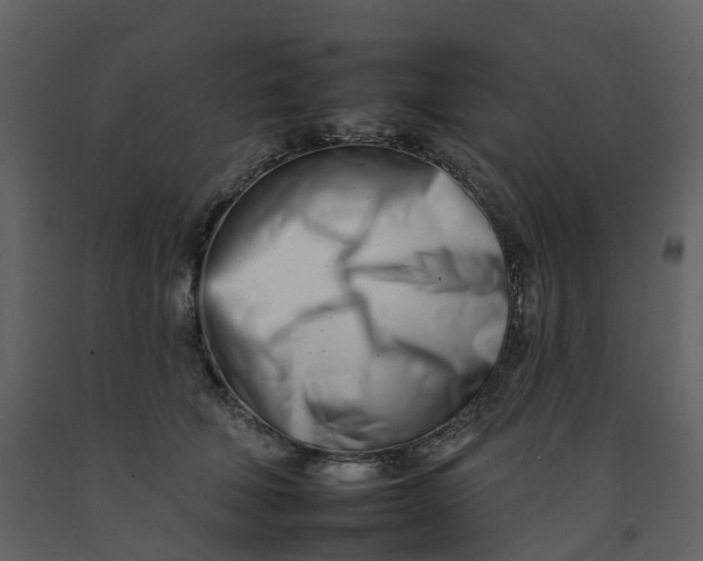 X0000092260610200710051321