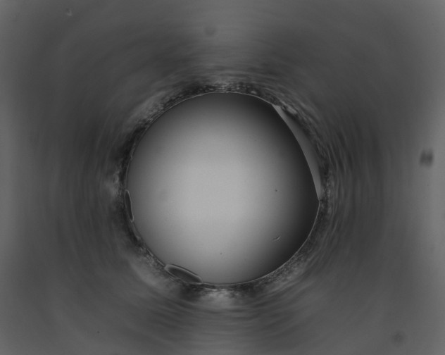 X0000092260611200710051321