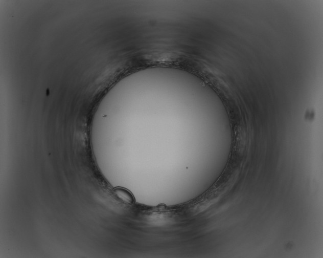 X0000092260612200710051320