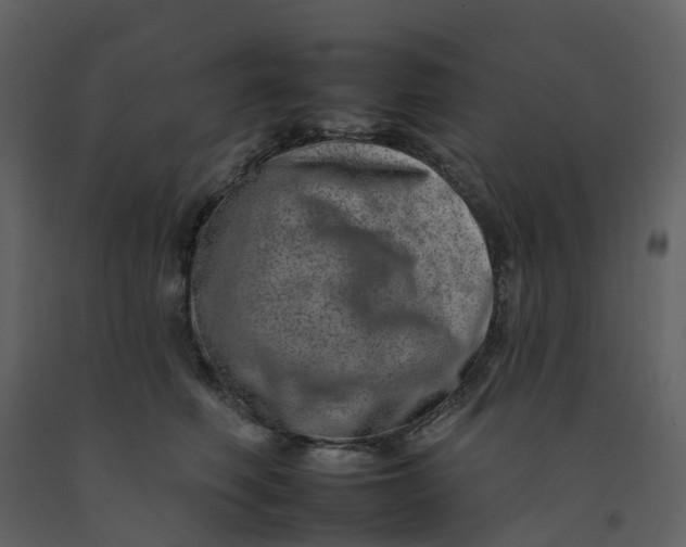 X0000092260614200710051320