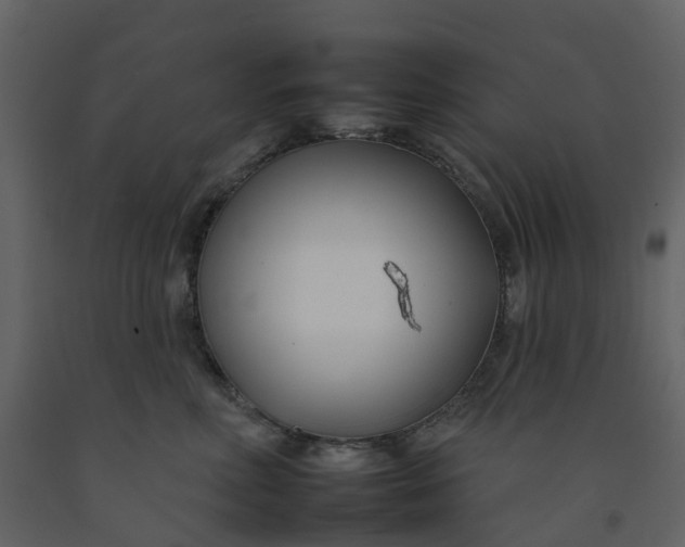 X0000092260618200710051320