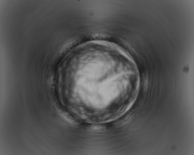 X0000092260619200710051320