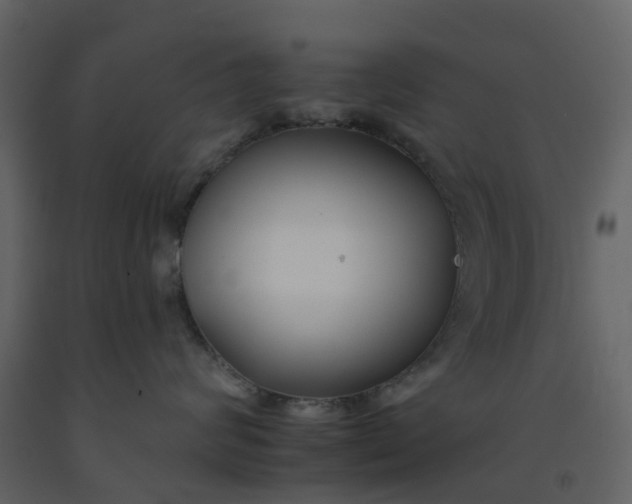 X0000092260624200710051320