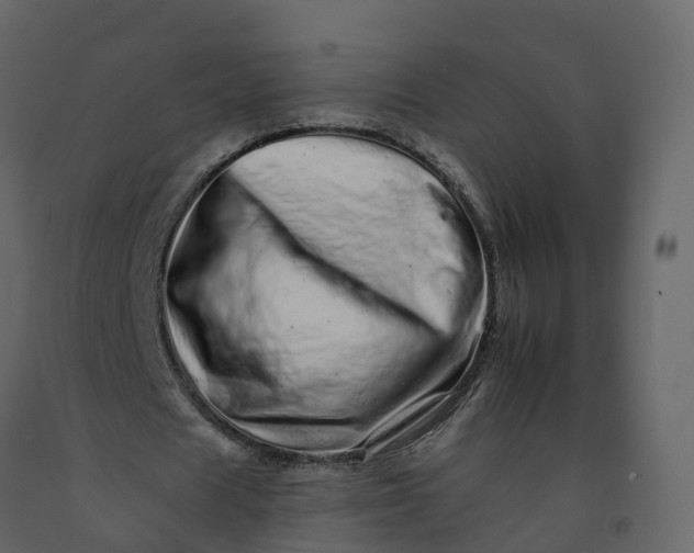 X0000092260625200710051320