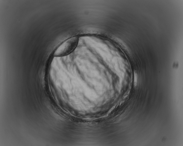 X0000092260627200710051320