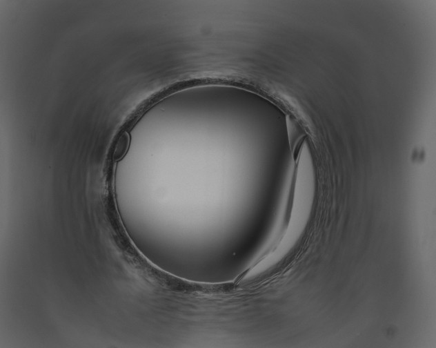 X0000092260628200710051320