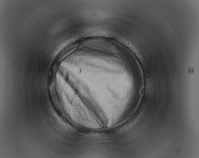 X0000092260629200710051320