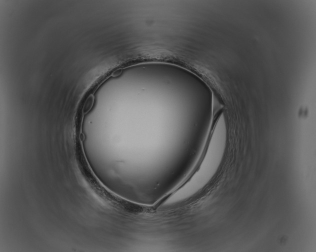 X0000092260630200710051320