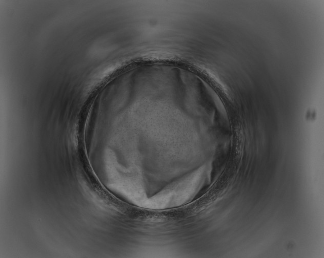 X0000092260631200710051320