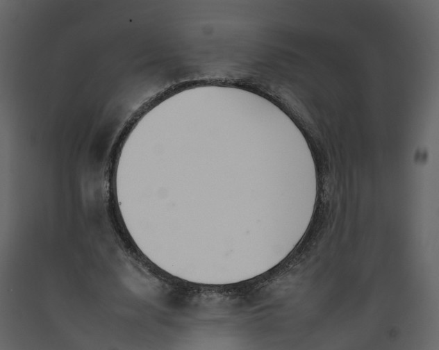 X0000092260632200710051320