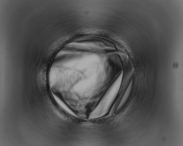 X0000092260633200710051320