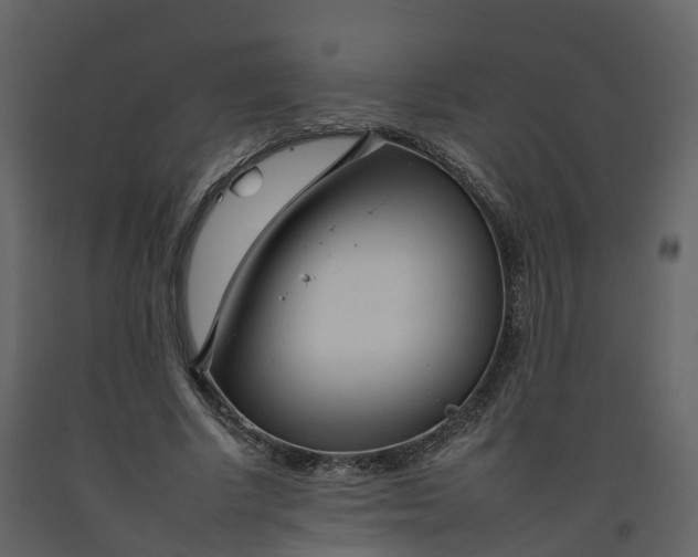 X0000092260634200710051320