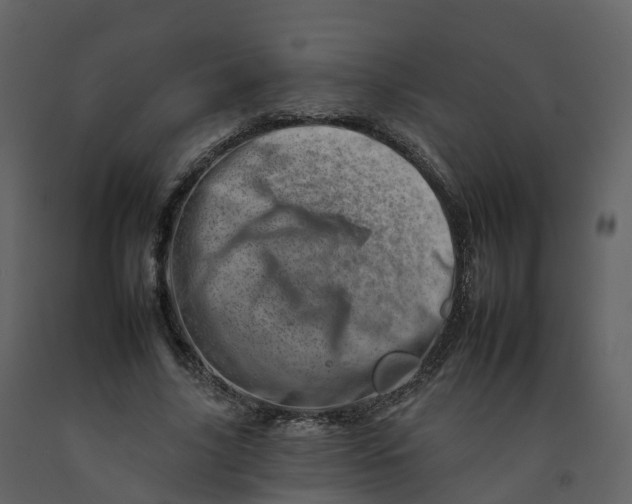 X0000092260635200710051320