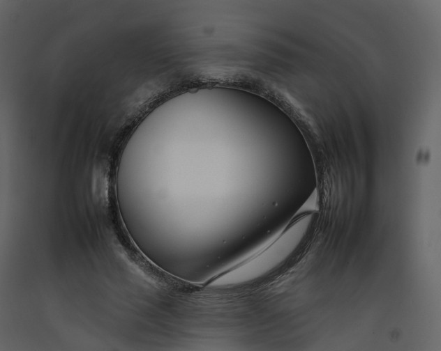 X0000092260637200710051320