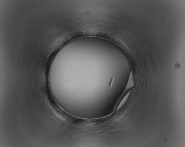 X0000092260638200710051320