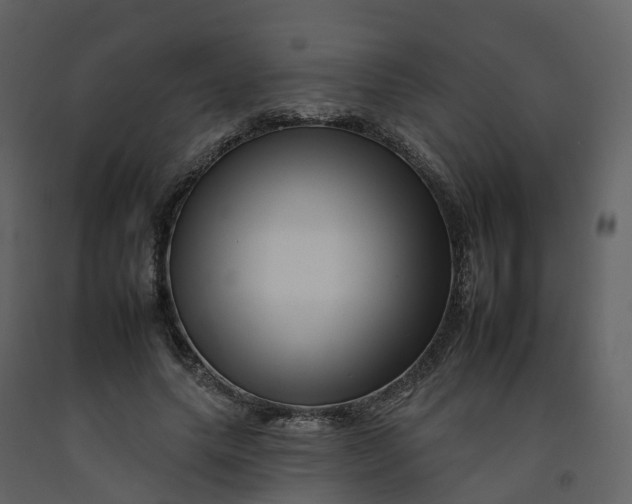 X0000092260639200710051320