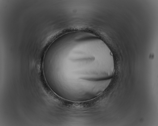 X0000092260640200710051320