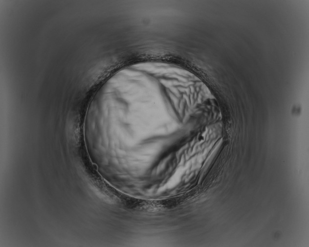 X0000092260642200710051320