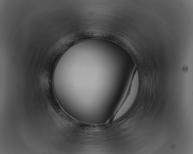 X0000092260643200710051320