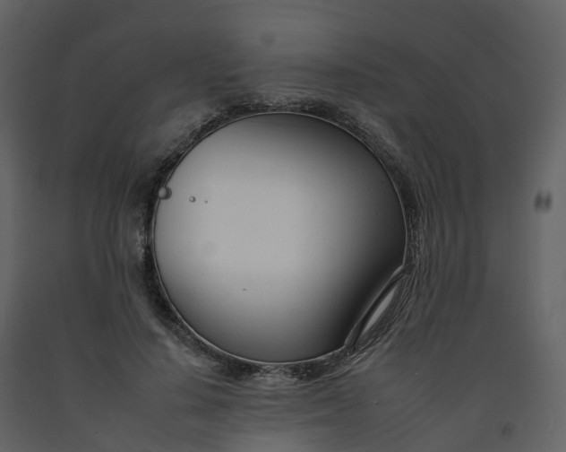 X0000092260644200710051320