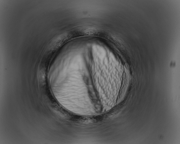 X0000092260646200710051320