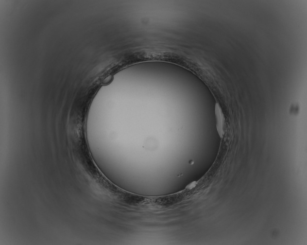 X0000092260648200710051320