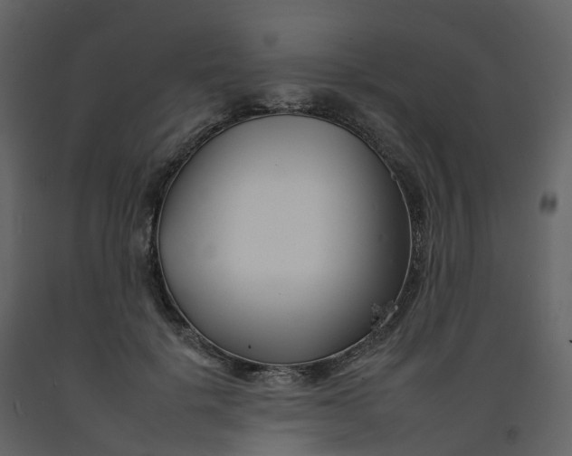 X0000092260652200710051320