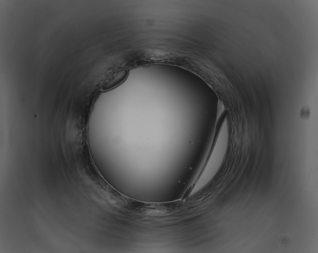 X0000092260653200710051320