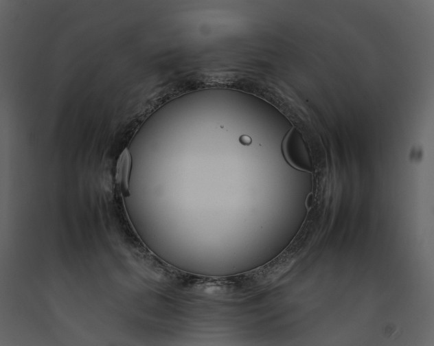 X0000092260655200710051320