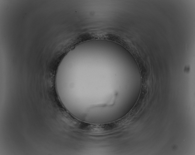 X0000092260658200710051320