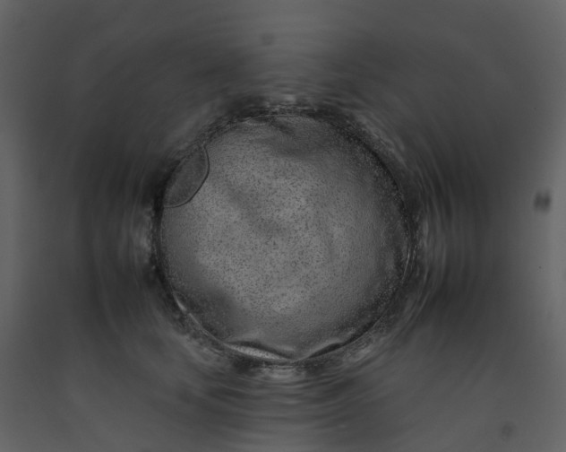 X0000092260659200710051320