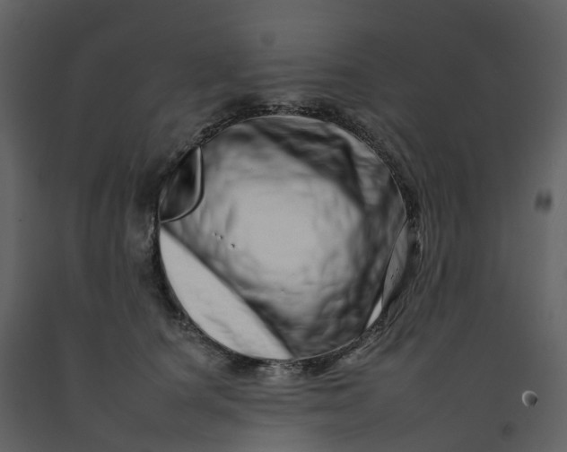 X0000092260660200710051320