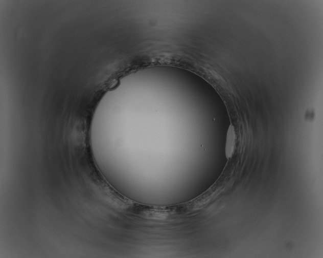 X0000092260661200710051320