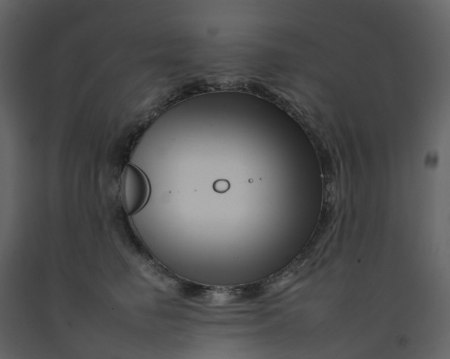 X0000092260662200710051320