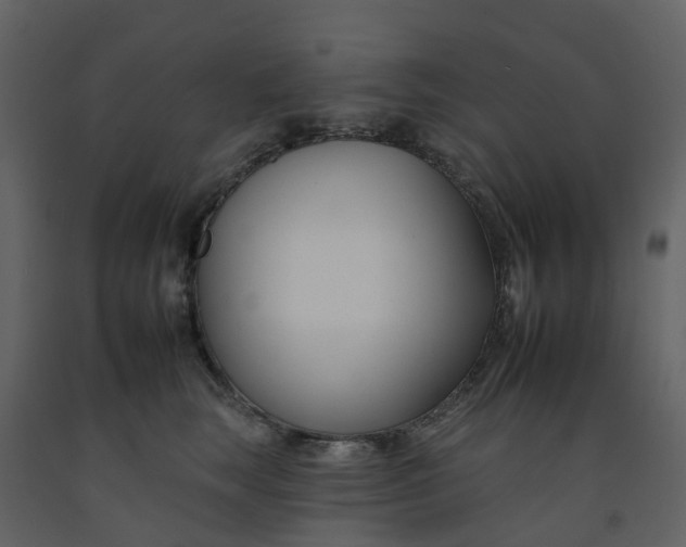 X0000092260663200710051320