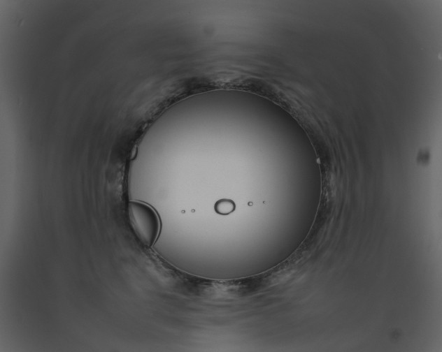 X0000092260664200710051320