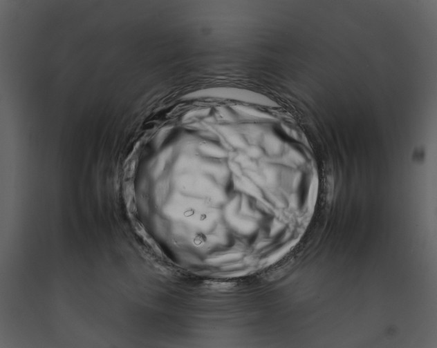 X0000092260665200710051320