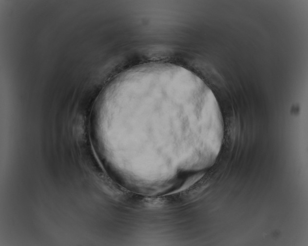 X0000092260667200710051320