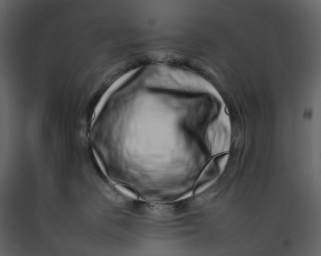 X0000092260670200710051320