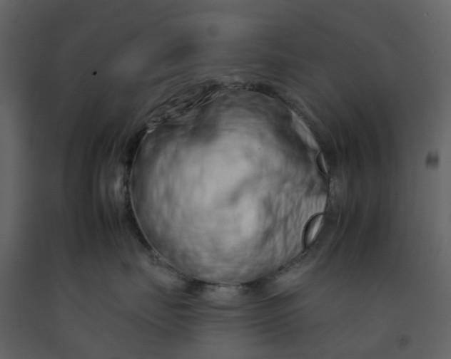 X0000092260671200710051320