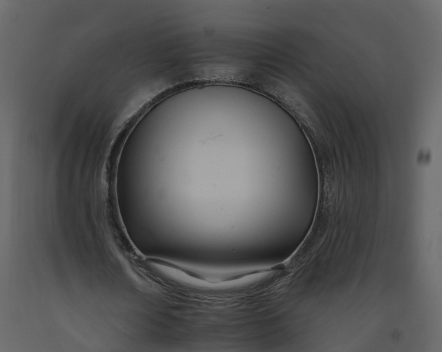 X0000092260674200710051320